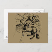 Sagittarius Constellation Carte Engraving Hevelius (Devant / Derrière)