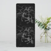 Sagittarius Constellation Hevelius1690 nov22-dec21 (Staand voorkant)