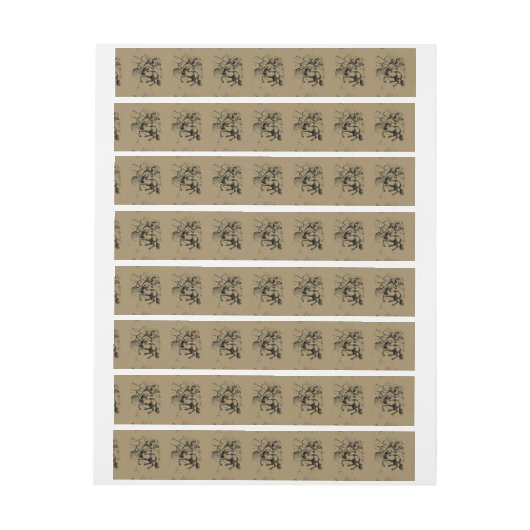 Sagittarius Constellation Hevelius 1690 Engraving (Vel)