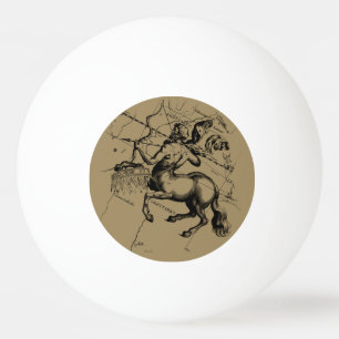 Sagittarius Constellation Map door Hevelius Pingpongballen