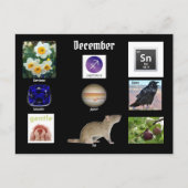 Sagittarius Décembre Mois de naissance CARTE POSTA (Devant)