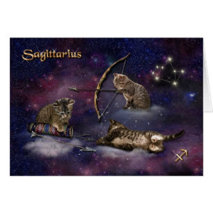Sagittarius for Cat Lovers