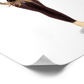 Sagittarius Zodiac Illustration – Hand Drawn Poster (Hoek)