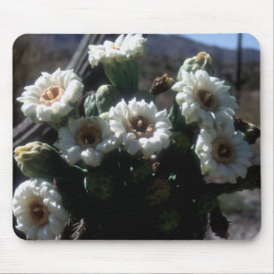 Saguaro Blossom Mousepad Muismat