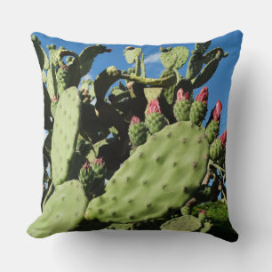 Saguaro Cacti, Cactus Planten Kussen