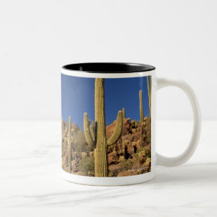 Saguaro cacti en Tucson Mountains, Tucson Tweekleurige Koffiemok