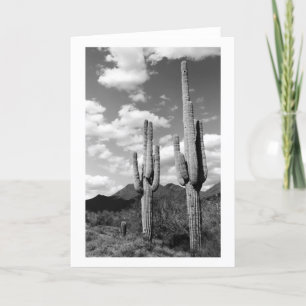 Saguaro Cacti Sonoran Desert Foto Wenskaarten Kaart