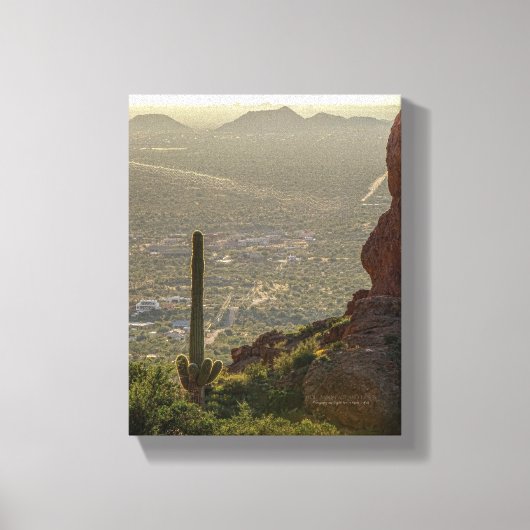 Saguaro Cactus Apache Junction & Pheonix AZ 8 x 10 Canvas Afdruk (Voorkant)