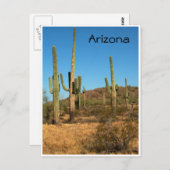 Saguaro cactus, Arizona - briefkaart (Voorkant / Achterkant)