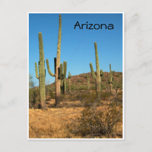 Saguaro cactus, Arizona - briefkaart