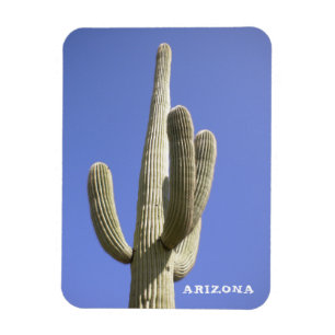 Saguaro Cactus - Arizona - Magnet Magneet