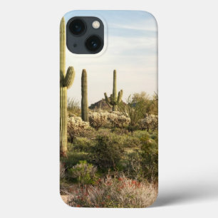 Saguaro Cactus, Arizona, Verenigde Staten iPhone 13 Hoesje