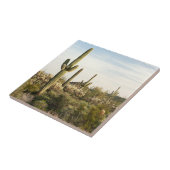 Saguaro Cactus, Arizona, Verenigde Staten Tegeltje (Zijkant)