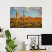 Saguaro cactus at sunset, Arizona Poster (Thuiskantoor)