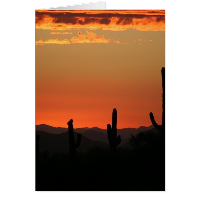 Saguaro Cactus au coucher du soleil (Devant)