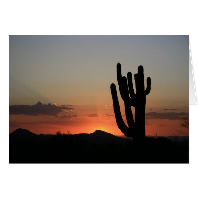 Saguaro Cactus au coucher du soleil (Devant horizontal)