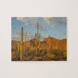 Saguaro cactus bij zonsondergang, Arizona Legpuzzel