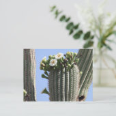 Saguaro Cactus Blooms Briefkaart (Staand voorkant)