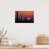 Saguaro Cactus Carnegiea gigantea), Sunset, Poster (Keuken)