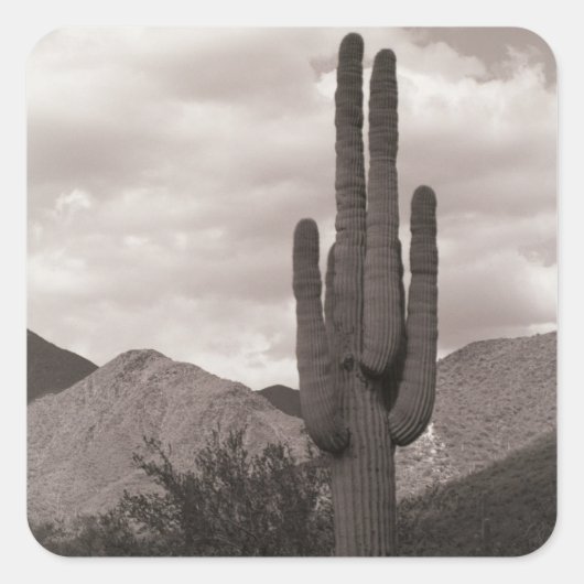 Saguaro Cactus Désert Autocollants personnalisés (Devant)