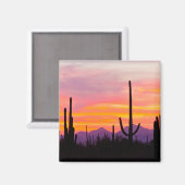 Saguaro Cactus Forest op Sunset Magneet (Voorkant / Achterkant)