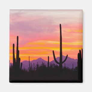 Saguaro Cactus Forest op Sunset Magneet