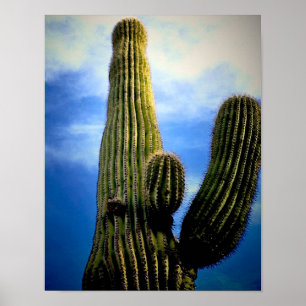 Saguaro Cactus High Briefkaart Poster