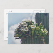 Saguaro cactus in bloom briefkaart (Voorkant / Achterkant)