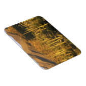 Saguaro cactus in het Nationaal Park Saguaro nabij Magneet (Rechterzijde)