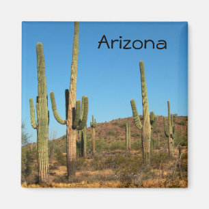 Saguaro cactus magneet
