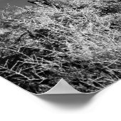 Saguaro Cactus Poster (Hoek)