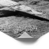 Saguaro Cactus Poster (Hoek)