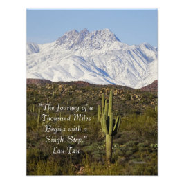 Saguaro Cactus Snow Capped Mountains Arizona USA Foto Afdruk