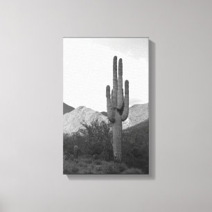 Saguaro Cactus Sonoran Desert B&W Foto afdrukken