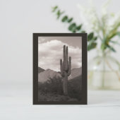 Saguaro Cactus Sonoran Desert B&W Photo Cartes pos (Debout devant)