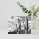 Saguaro Cactus Sonoran Desert B&W Photo Cartes pos (Debout devant)