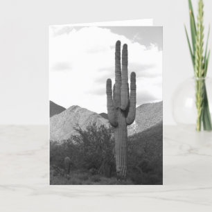 Saguaro Cactus Sonoran Desert Foto Wenskaart Kaart