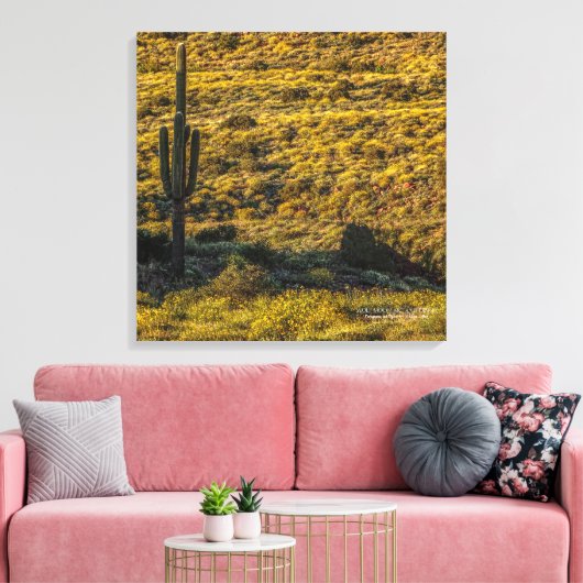 Saguaro Cactus Sonoran Desert in Springtime 24x24 Canvas Afdruk (Insitu (Woonkamer))