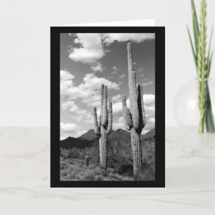 Saguaro Cactus Sonoran Desert Photo Cartes de voeu