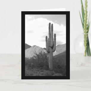 Saguaro Cactus Sonoran Desert Photo Cartes de voeu