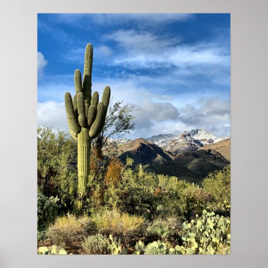 Saguaro Cactus Winter Arizona Poster (Voorkant)