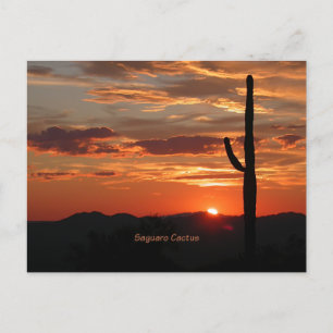 Saguaro Cactus, zonsondergang, Briefkaart