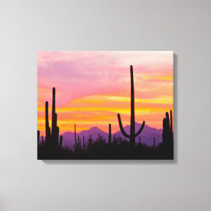 Saguaro Cactusbos bij zonsondergang Canvas Afdruk