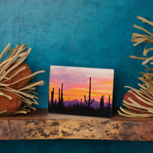 Saguaro Cactusbos bij zonsondergang Fotoplaat
