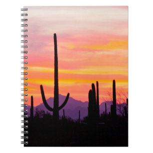 Saguaro Cactusbos bij zonsondergang Notitieboek