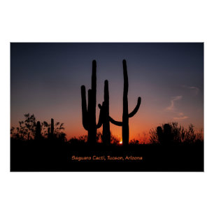 Saguaro Cactussen bij zonsondergang Perfect Poster