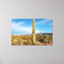 Saguaro Canvas Afdruk
