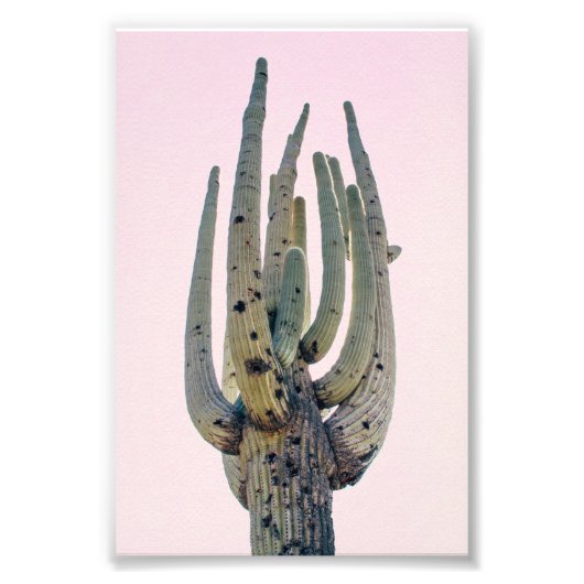 Saguaro Cutout | Impression photo (Devant)