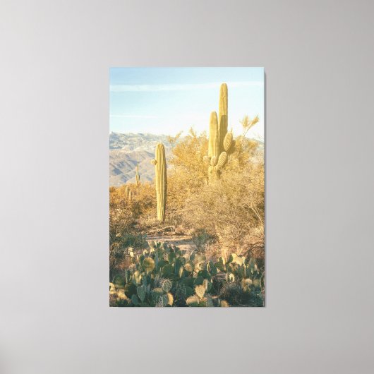 Saguaro Forest Canvas Afdruk (Voorkant)