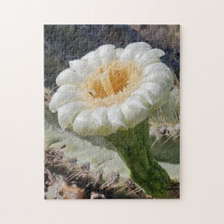 Saguaro in Bloom Puzzel, 28 x 36 cm, 252 stukjes Legpuzzel